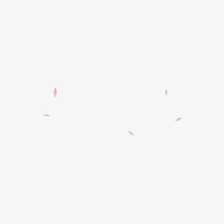 漂浮花瓣背景素材