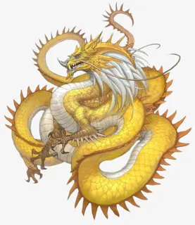 五爪金龙免抠