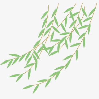 手绘卡通树枝树叶免抠