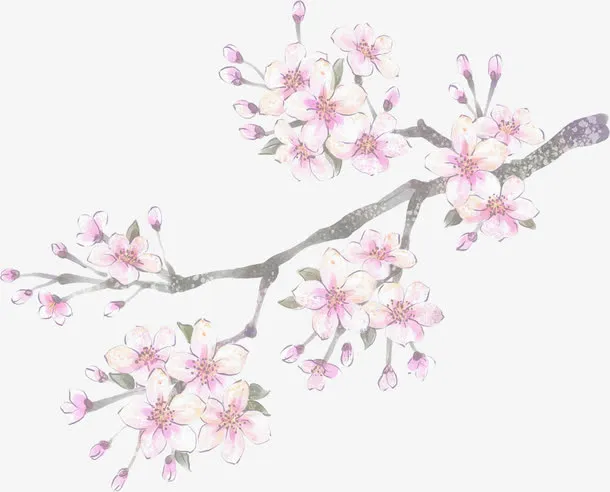 手绘粉色温馨桃花免抠