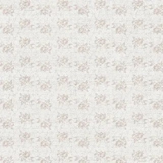 白色蕾丝花边花纹免抠