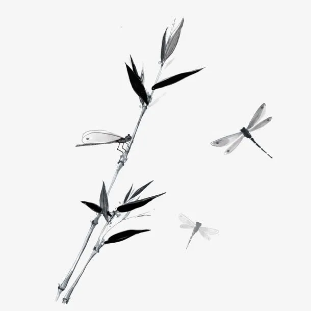 竹子蜻蜓免抠