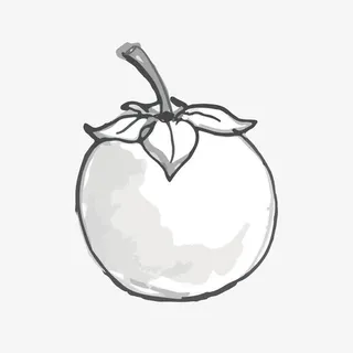 矢量手绘黑白线描装饰柿子免抠