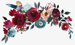 手绘红色蔷薇花边框免抠