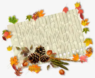 花瓣围绕纸张素材免抠