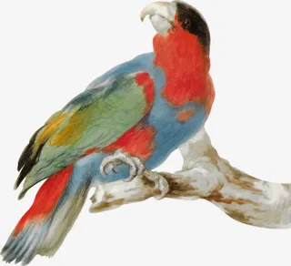 手绘树枝上的鹦鹉免抠