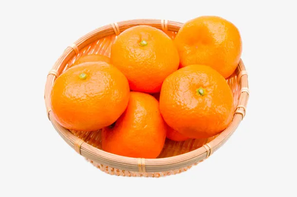 筛子里的桔子免抠