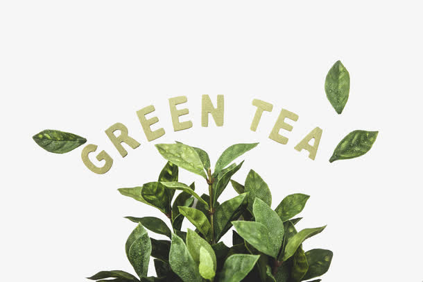 绿茶英文字母免抠