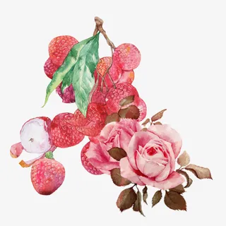 玫瑰,荔枝,花果,复合口味免抠 玫瑰,荔枝,花果,复合口味免抠