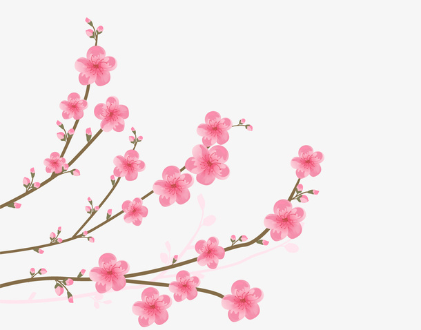 粉色桃花树枝矢量图免抠