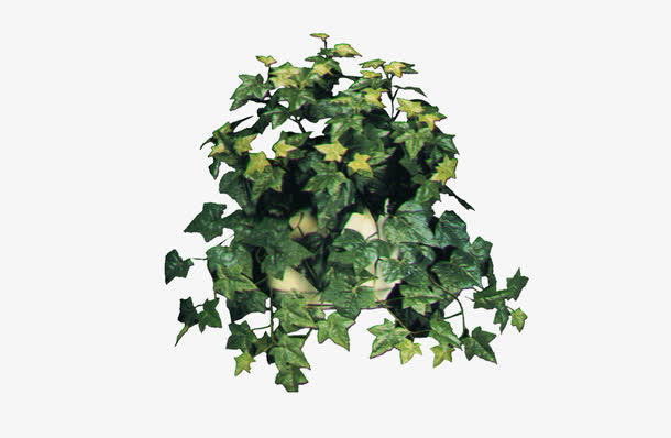 花草素材免抠