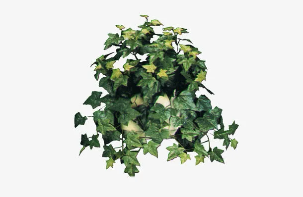 花草素材免抠
