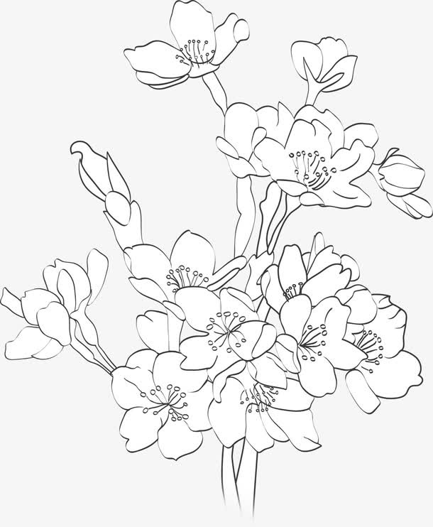 手绘黑色春季梅花免抠