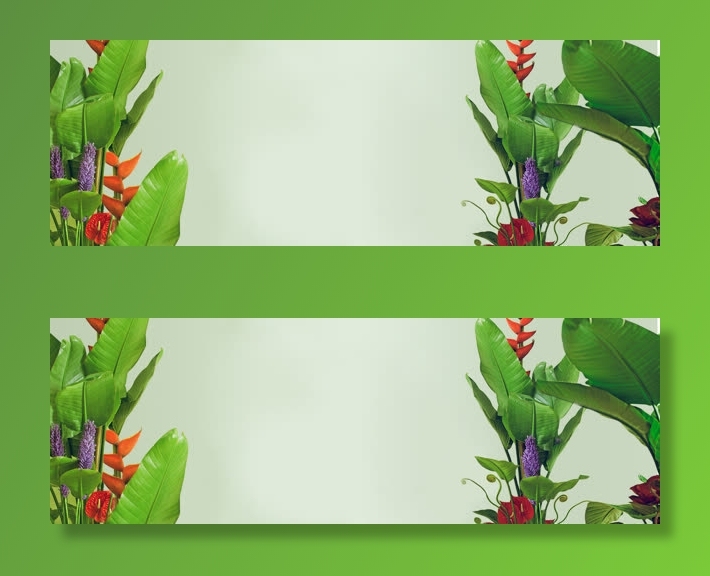 春天绿叶绿色植物背景免抠背景banner海报元素