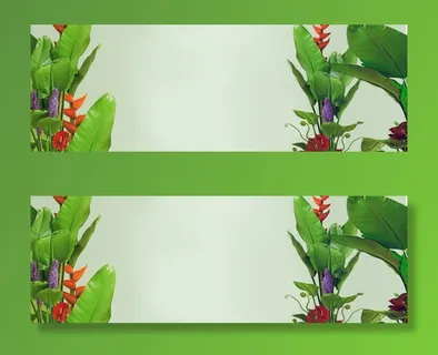 春天绿叶绿色植物背景免抠背景banner海报元素