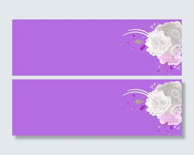 雪白的花背景高清