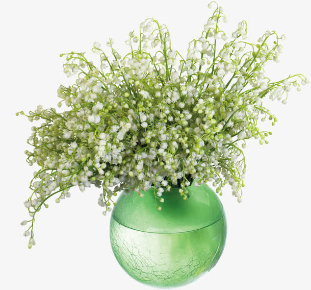 卡通野菊花免抠