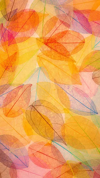 彩色叶脉H5背景高清