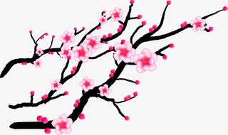 手绘水墨粉色梅花图案免抠