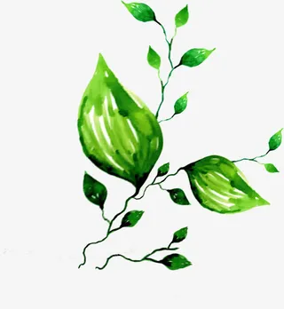 绿色春天树叶枝条免抠