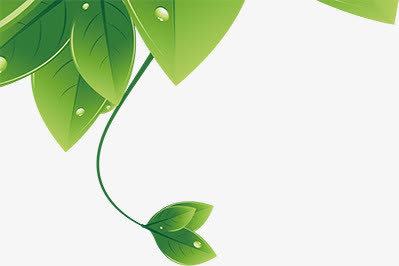 绿色手绘艺术美感植物免抠