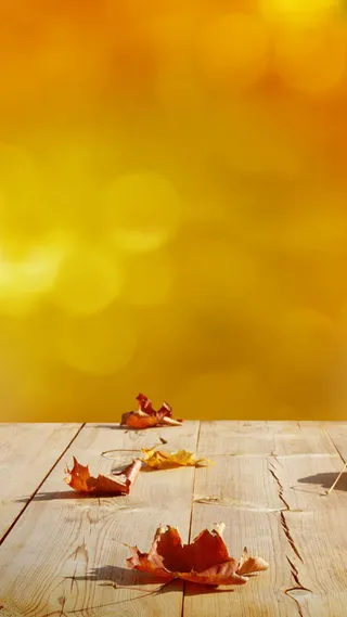 唯美金秋H5背景高清