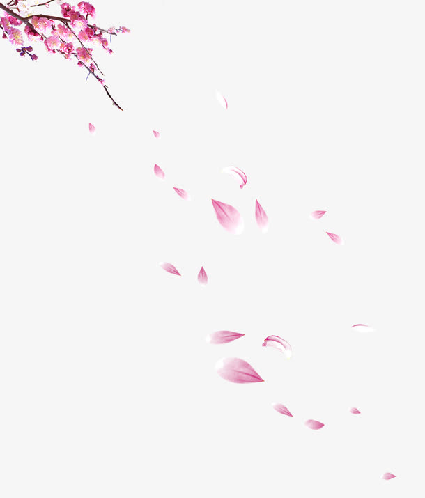 飘落的花瓣免抠