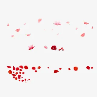 漂浮着的花瓣免抠