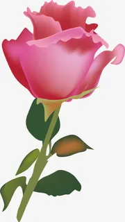 盛开的花PNG下载免抠 盛开的花PNG下载免抠