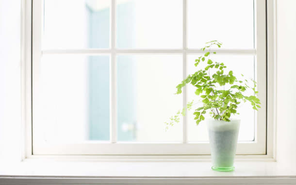 小清新植物窗户门框免抠