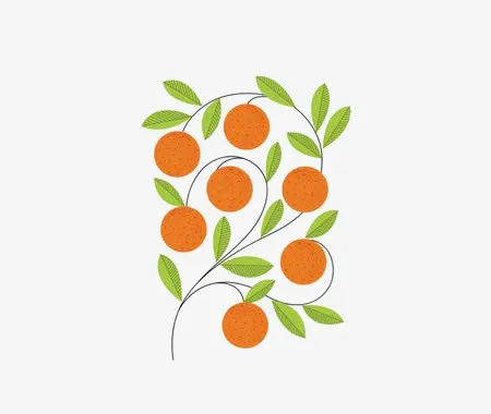 手绘柿子免抠