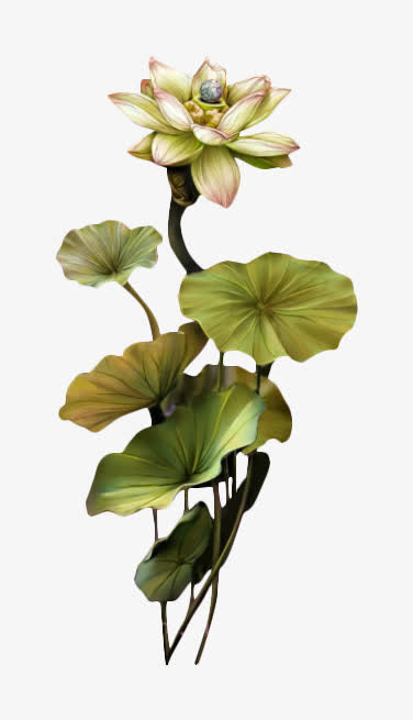 工笔免抠