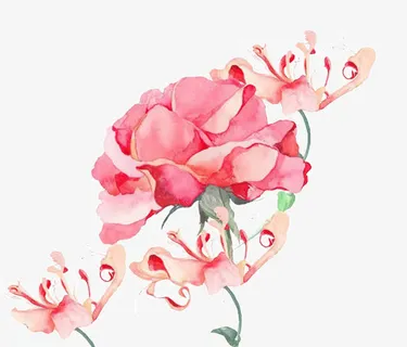 红色手绘水彩花免抠