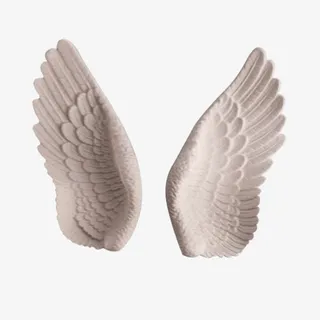 柔软的一对翅膀免抠