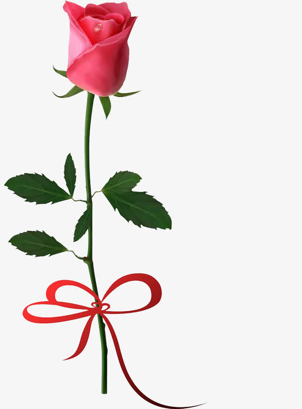 红色玫瑰花免抠