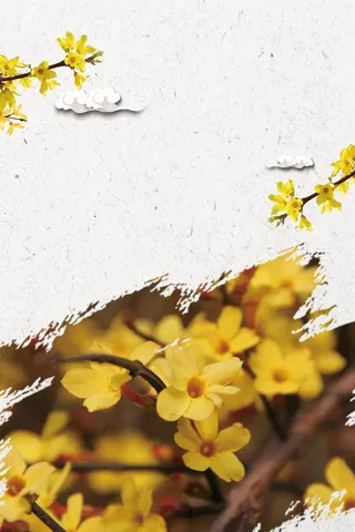 复古中国风迎春花海报高清