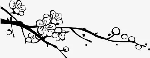 中国风梅花免抠