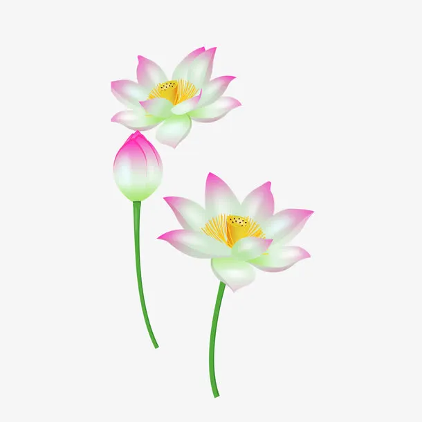 立夏节气荷花素材矢量免抠