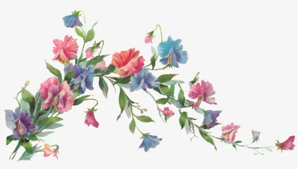 花藤免抠