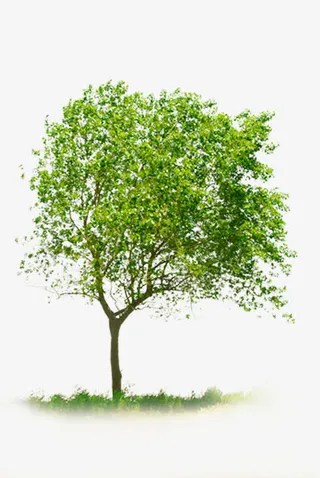 绿色大树摇曳树枝免抠