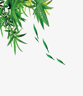 粽叶绿色效果免抠