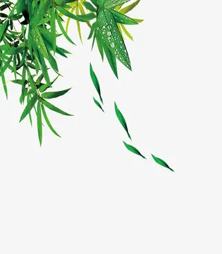 粽叶绿色效果免抠