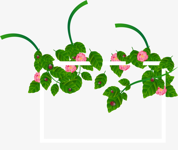 绿色春季花藤框架免抠