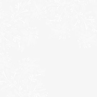 白色线条花纹免抠