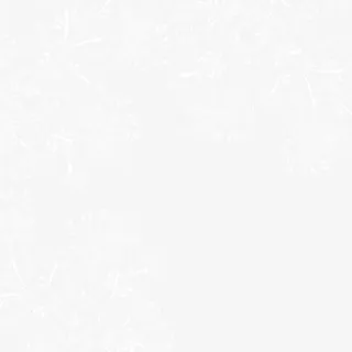 白色线条花纹免抠