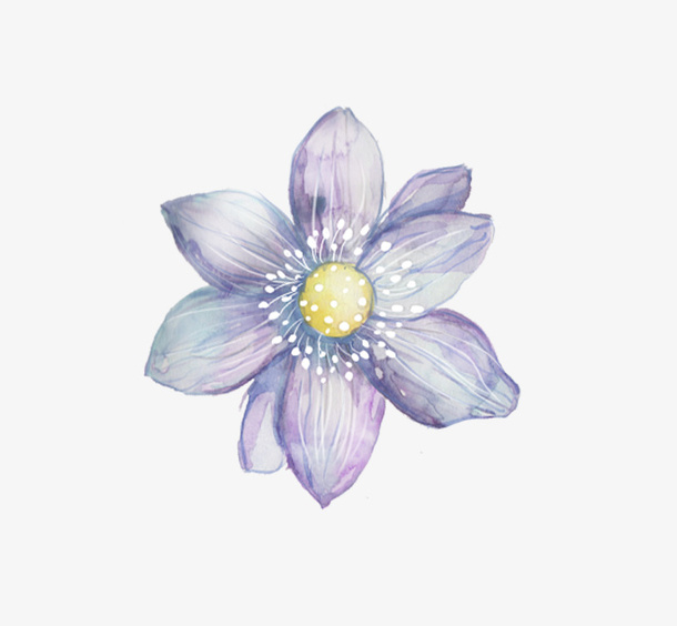 手绘紫色花朵免抠