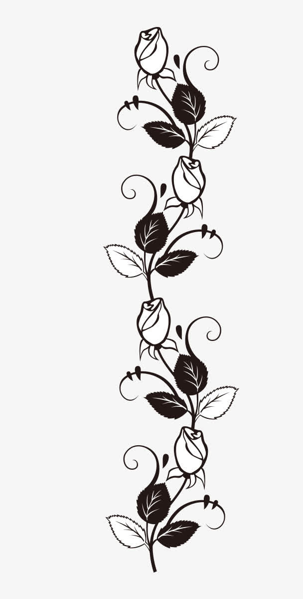 手绘黑白玫瑰花卉免抠