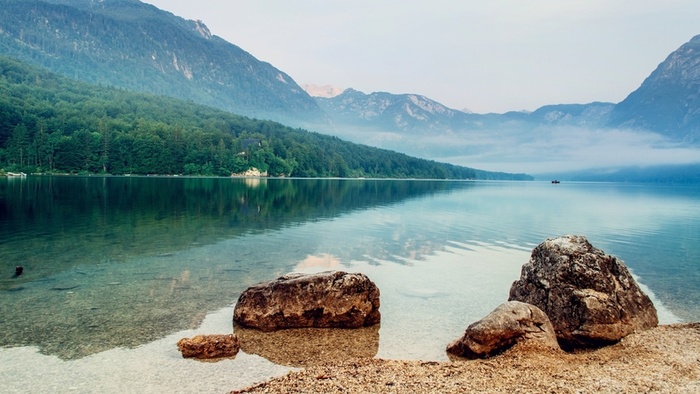 草地,背景,png,素材高清
