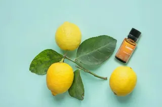 绿色的柠檬图片免抠