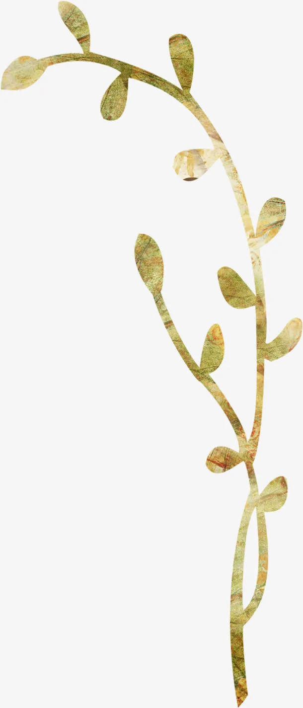 复古纸张树枝免抠